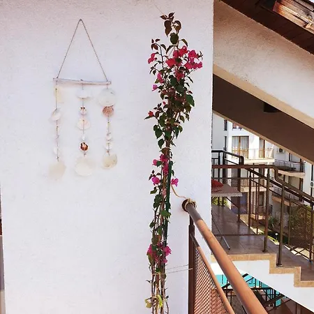 La Terrace Sea View سفيتي فلاس